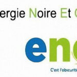 CAMEROUN : Vers la renationalisation de la société nationale d’électricité.