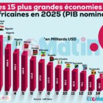 AFRIQUE : Les 15 premières économies