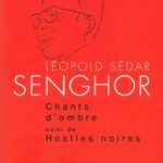 LITTERATURE NEGRO-AFRICAINE : Quand leurs mots évoquent nos maux